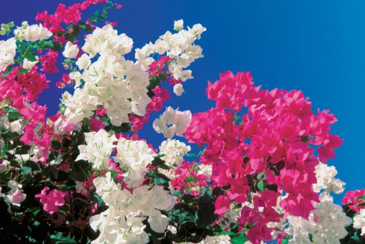 Дневен хороскоп за четвъртък, 25 януари - снимка 8