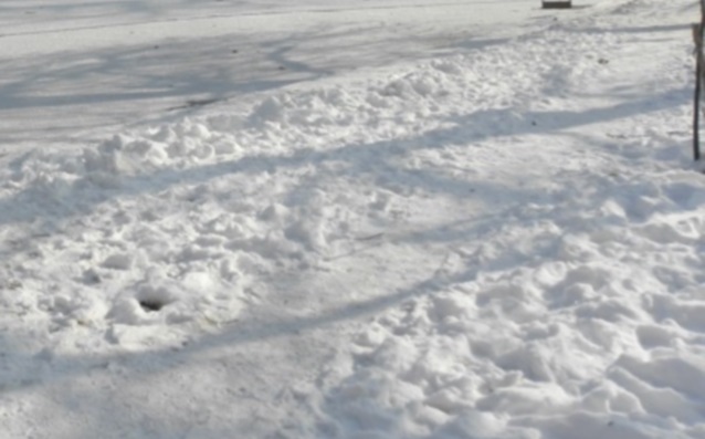 Падналият сняг отложи началото на третия ден от тестовете на