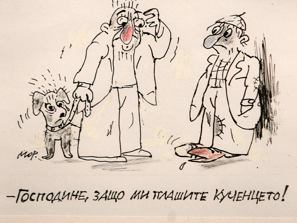 41-вата национална карикатурна изложба може да се разгледа до 29 април в галерията "Шипка" 6, етаж III