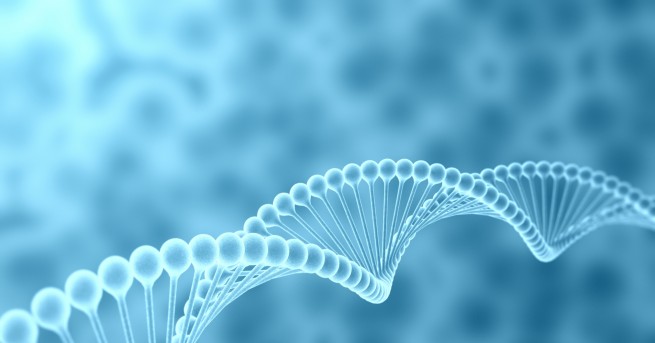 Смъртта идва за всеки Неизбежност с която хората са се