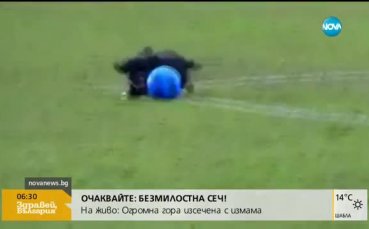 ВИДЕО: Кучето Роналдо конкурира адаша си от Реал