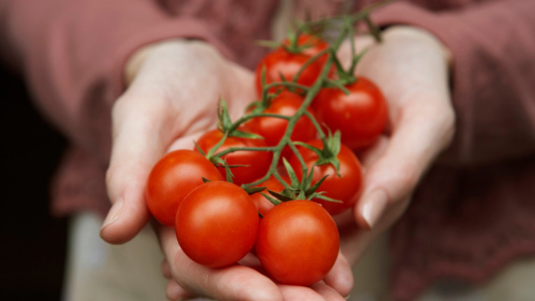  7 храни за хидратация 