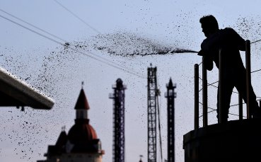 7 поред за Розберг, Хамилтън живна сред хаоса в Сочи