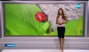 Прогноза за времето (11.05.2016 - централна)