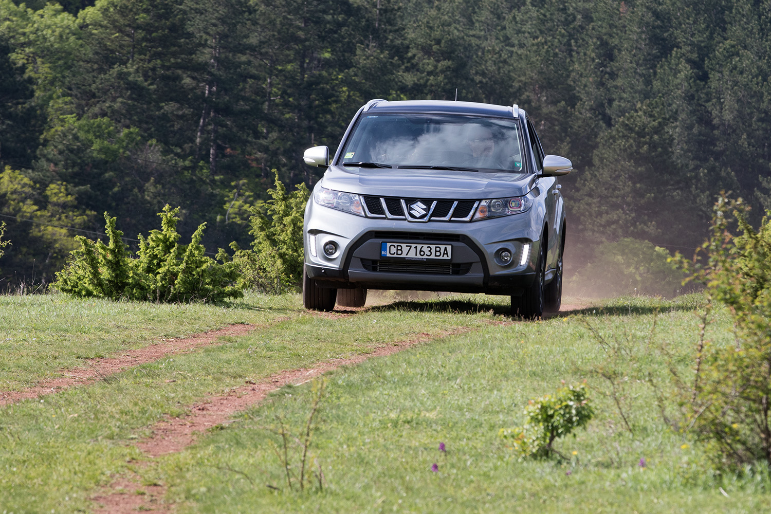 Компактният SUV, световен модел за компанията, продължи да разпръсква добрата си магия, като отново върна Suzuki в чартовете. Формулата на успеха му се крие в лесно на пръв поглед уравнение: това е автомобил, който държи нещата прости, точно по средата, без да изпъква ярко в дадена област, но предлагащ абсолютно всичко, за да е сред лидерите на пазара.