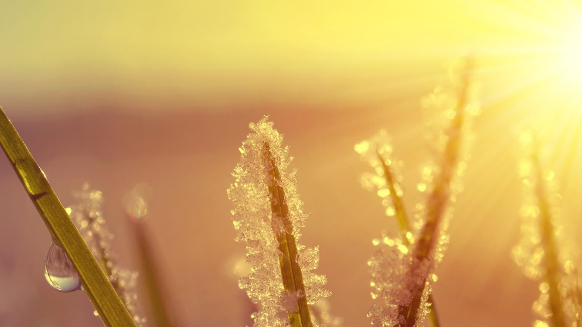 Предупреждение от първа степен – за опасно време е издадено