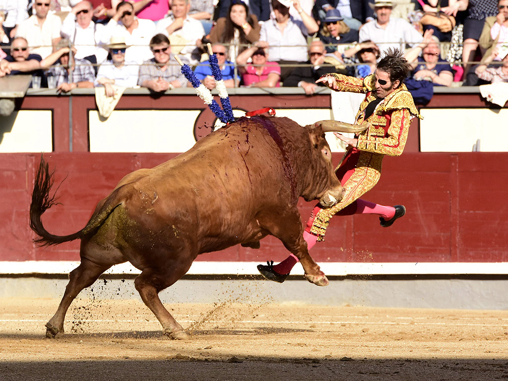Испанския бикоборец Хуан Хосе Падиля се бори с бик по време на корида в Лас Вентас Арена в Мадрид, Испания