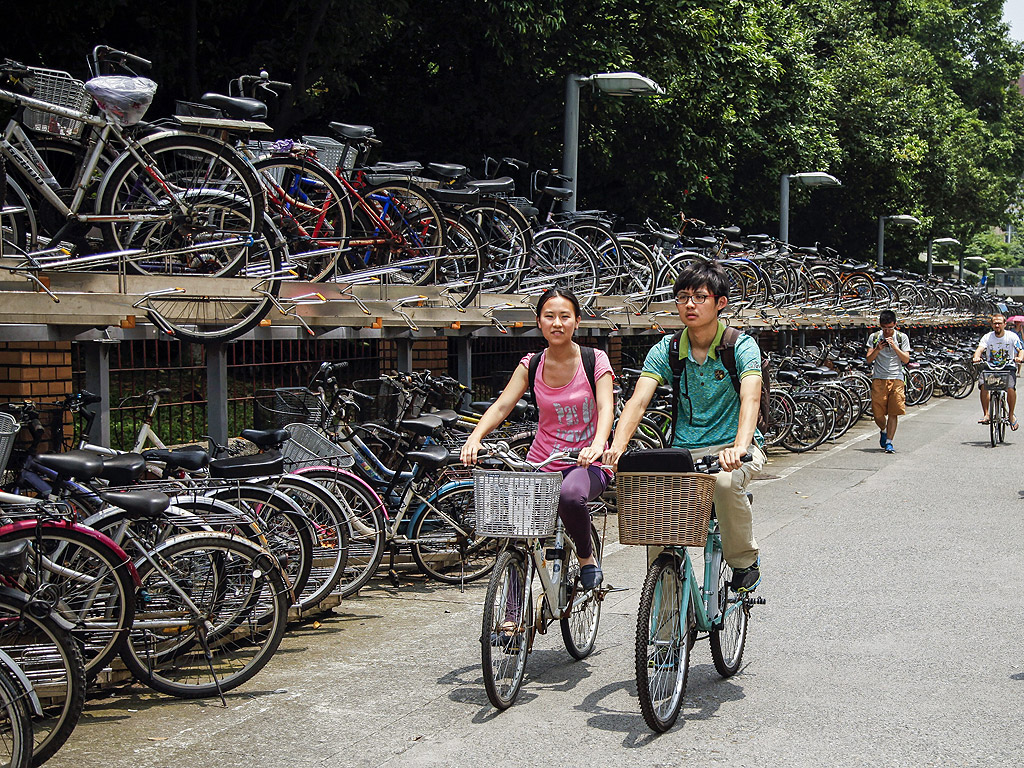 Велосипеди на една улица в Тайпе, Тайван. Тайван е на четвърто място в сектора на износ на велосипеди след Китай, Индия и Бразилия. Според Министерството на финансите, износа на велосипеди от Тайван е нараснал с 6.55 на сто за 2015 до 3.99 милиона единици, като 55.15% на доставките са към Европейския съюз