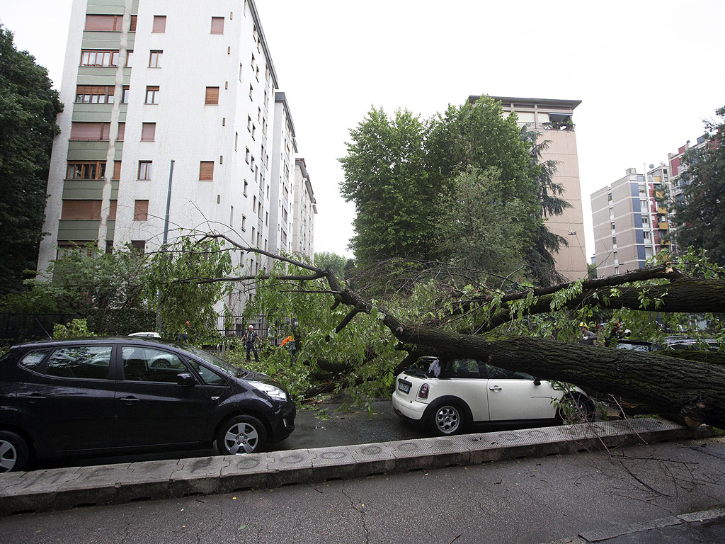 Паднало дърво след проливен дъжд в Милано, Италия. От дъждовете се вдигна на нивото на река Ламбро, която минава през източната част на Милано и наводни няколко улици