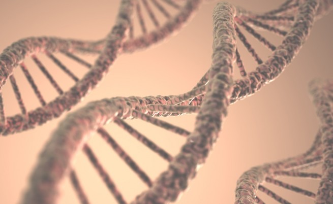  Учени откриха праисторическа ДНК 