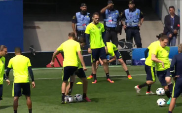 Защитник на Швеция аут до края на груповата фаза