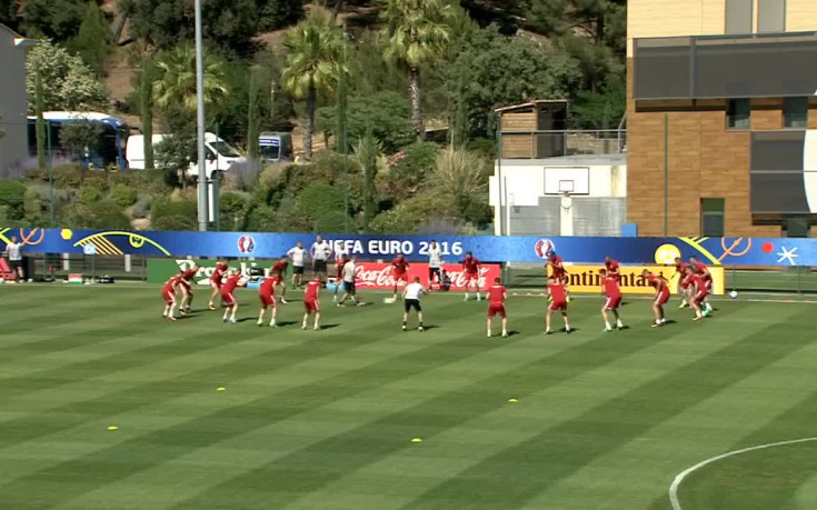 Защитник на Унгария аут от UEFA EURO 2016