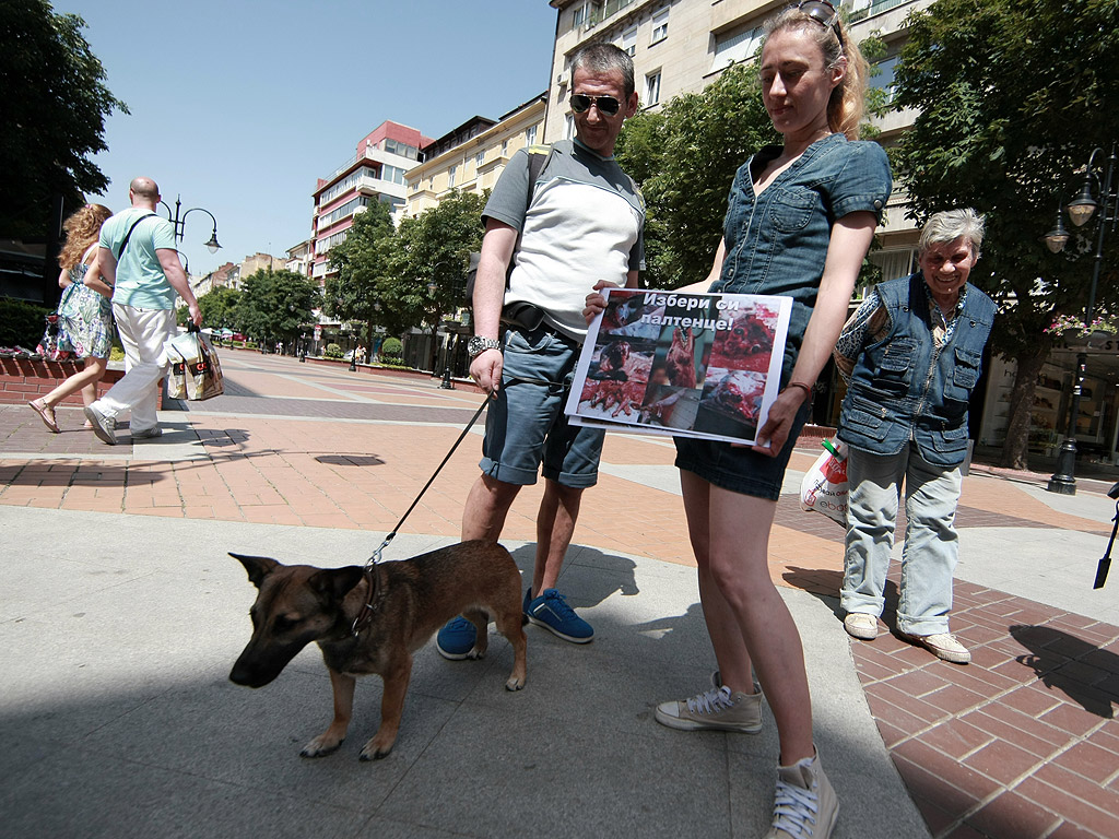 Протестиращите искат промяна в законодателството и "да се приравни убийството на всяко едно животно с убийството на хора. Искаме животът на животните да се третира по същия начин, както животът на хората"