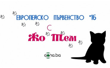 Малкото коте безапелационно в последната си прогноза