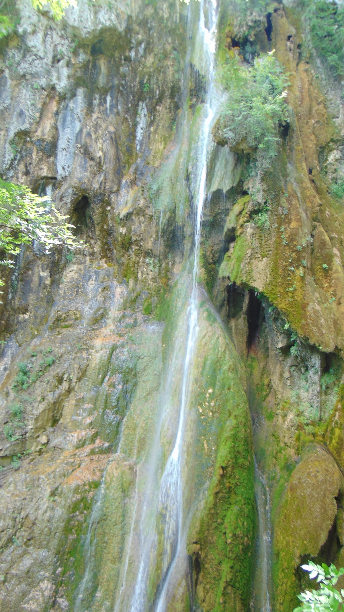 Един от достъпните маршрути за един ден край Пловдив е Сливовдолският водопад в резервата Червената стена до Бачково.
