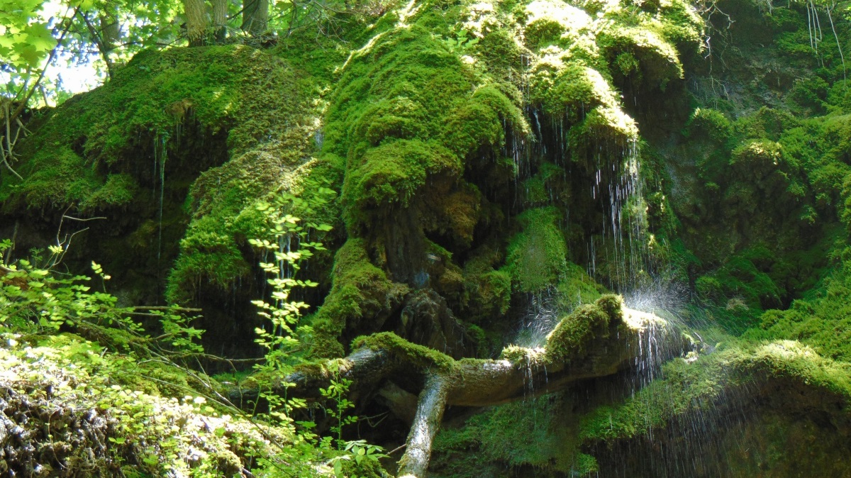 Един от достъпните маршрути за един ден край Пловдив е Сливовдолският водопад в резервата Червената стена до Бачково.