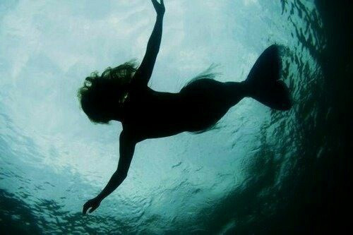 Дневен хороскоп за 26.07. - снимка 7