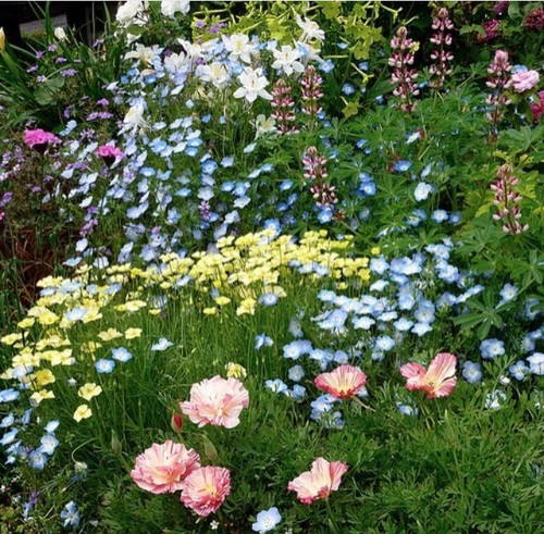 Дневен хороскоп за 04.08. - снимка 3