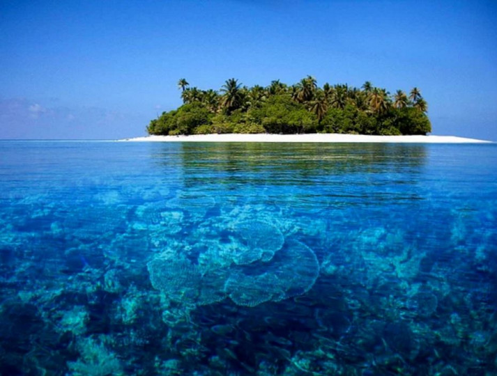 Дневен хороскоп за 01.07. - снимка 8