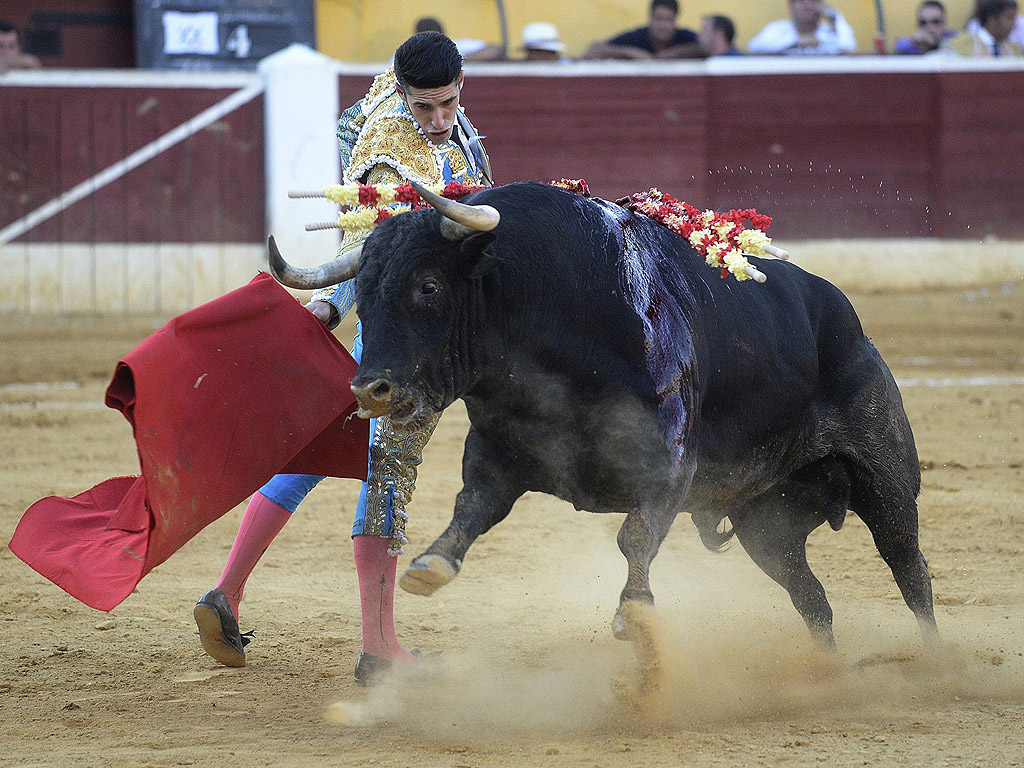 Испанския бикоборец Дейвид Фандила "El Fandi" по време на корида в Хуеска, северна Испания