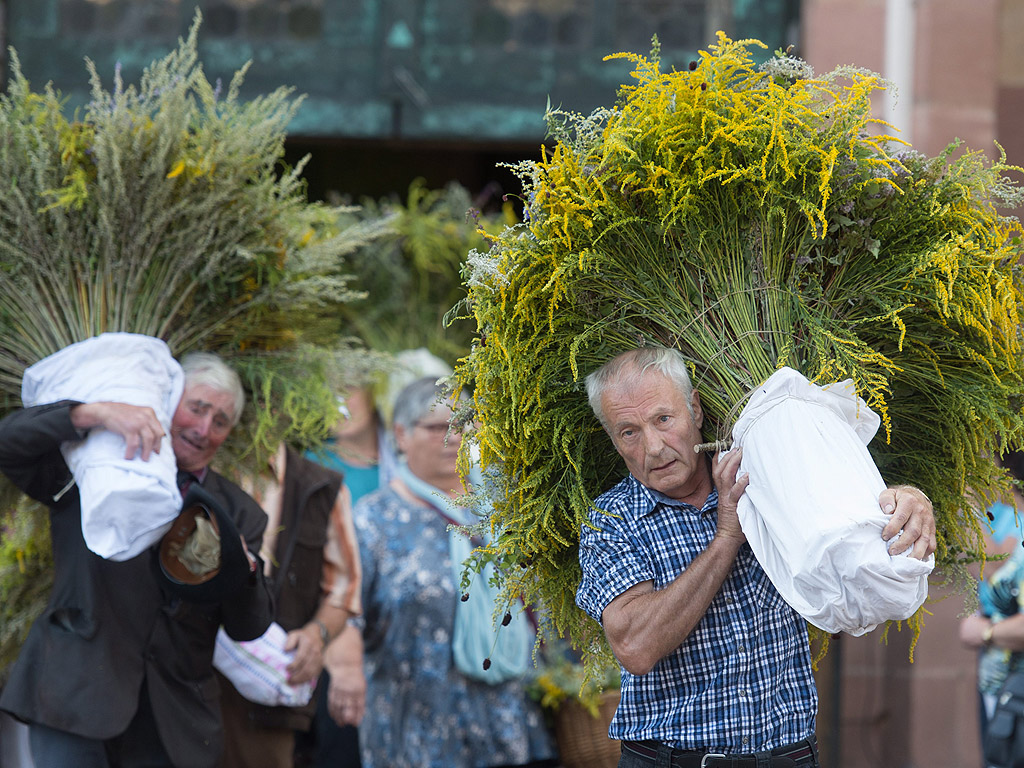 Двама мъже, носят гигантски букети с билки в Генгенбах, Германия. Всяка година на Успение Богородично, град Генгенбах чества Деня на билките