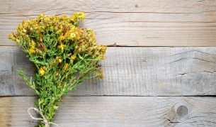 Магическата билка, която успокоява тялото и духа