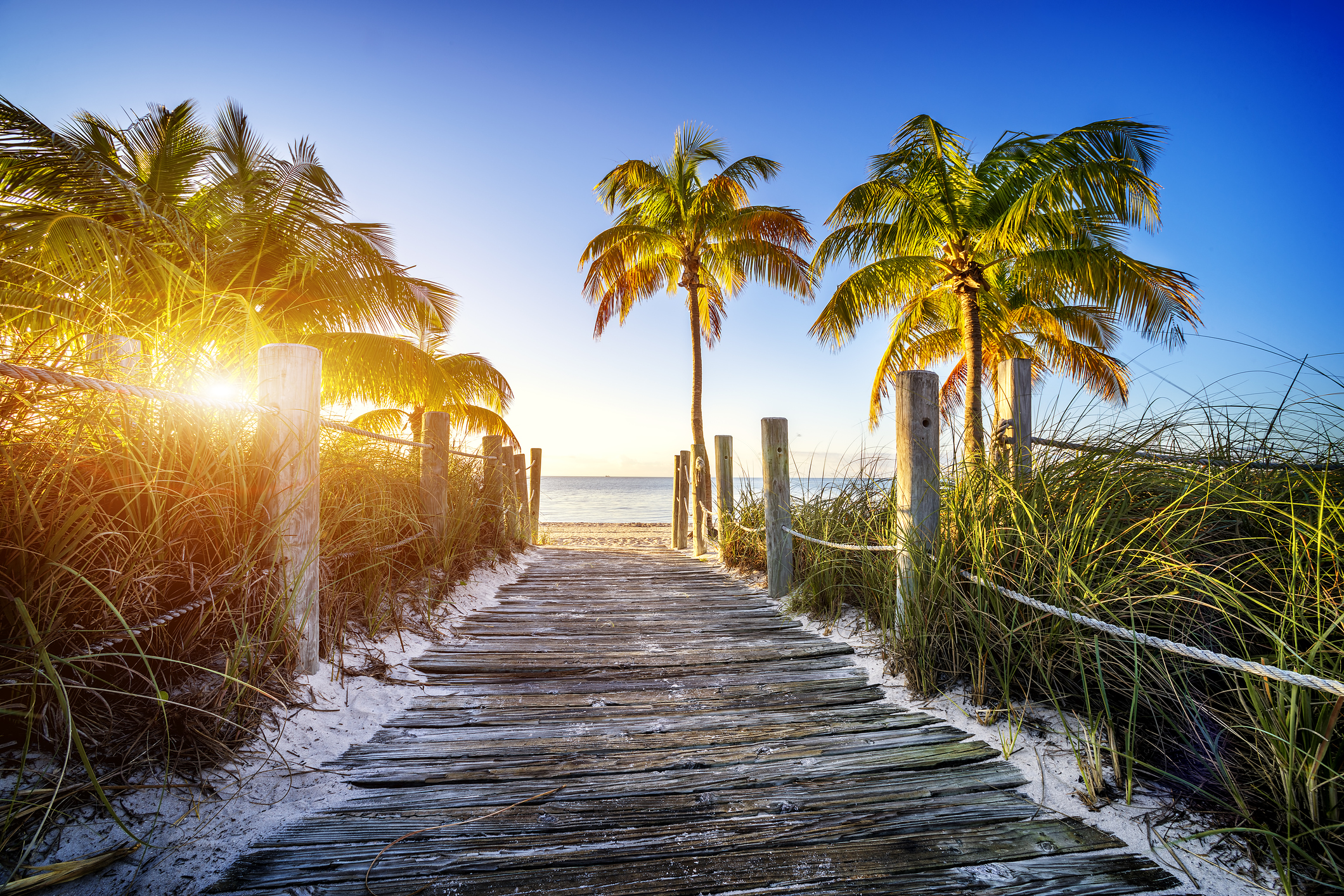 Слънце, море, плаж, запомнящ се нощен живот с много купони и партита, добра инфраструктура и чудесно място за сбъдване на мечти. Не е ли това раят на Земята? Местенцето е Маями - град, намиращ се в югоизточната част на САЩ, в щата Флорида, а мащабите му са големи - той е вторият по големина град във Флорида и най-голям град в окръг Маями-Дейд с население над 404 048 жители.