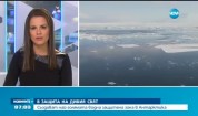 Създават най-голямата водна защитена зона в Антарктика