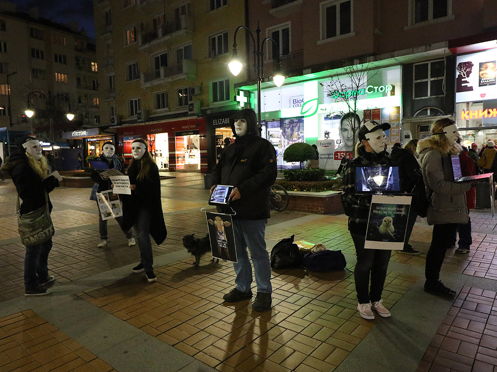 Десетина вегани с бели маски демонстрираха отношението си към месоядството, като приканваха хората на столичния бул. "Витоша" да гледат документалния филм "Earthlings" ("Земляни")