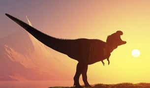 Опашка на динозавър доказа теориите на учените