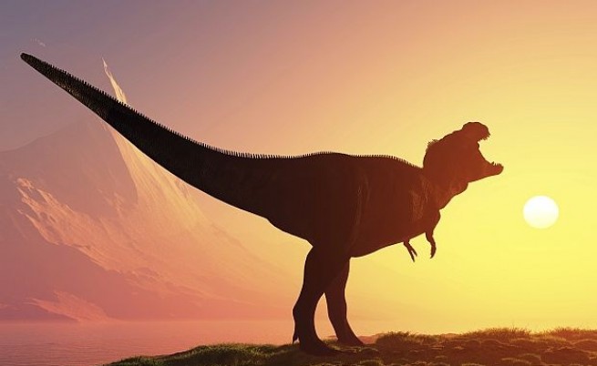 Учени откриха опашка на динозавър с пера, която потвърждава теориите им