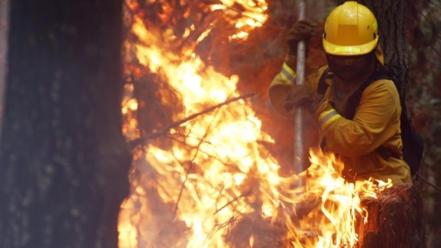 Гори най-големият пожар в историята на Чили, има загинали