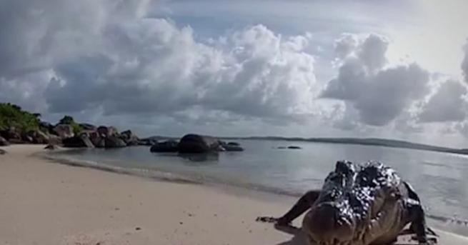 Журналистът от британския в Файненшъл таймс Пол Маклейн загина по