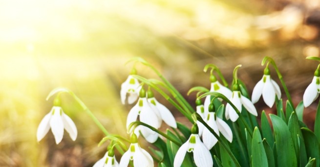 В страната все още продължава да превалява слаб дъжд в