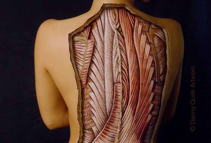 Младият американски артист Дани Куирк издига науката на съвсем ново ниво. Използвайки латекс, акрилни бои и допълнителни художествени материали, той рисува реалистични картини върху човешките тела. Органи, мускулни влакна, кости - той илюстрира човешката анатомия по изумителен начин - с всички светлосенки, така че да изглежда максимално истинско.