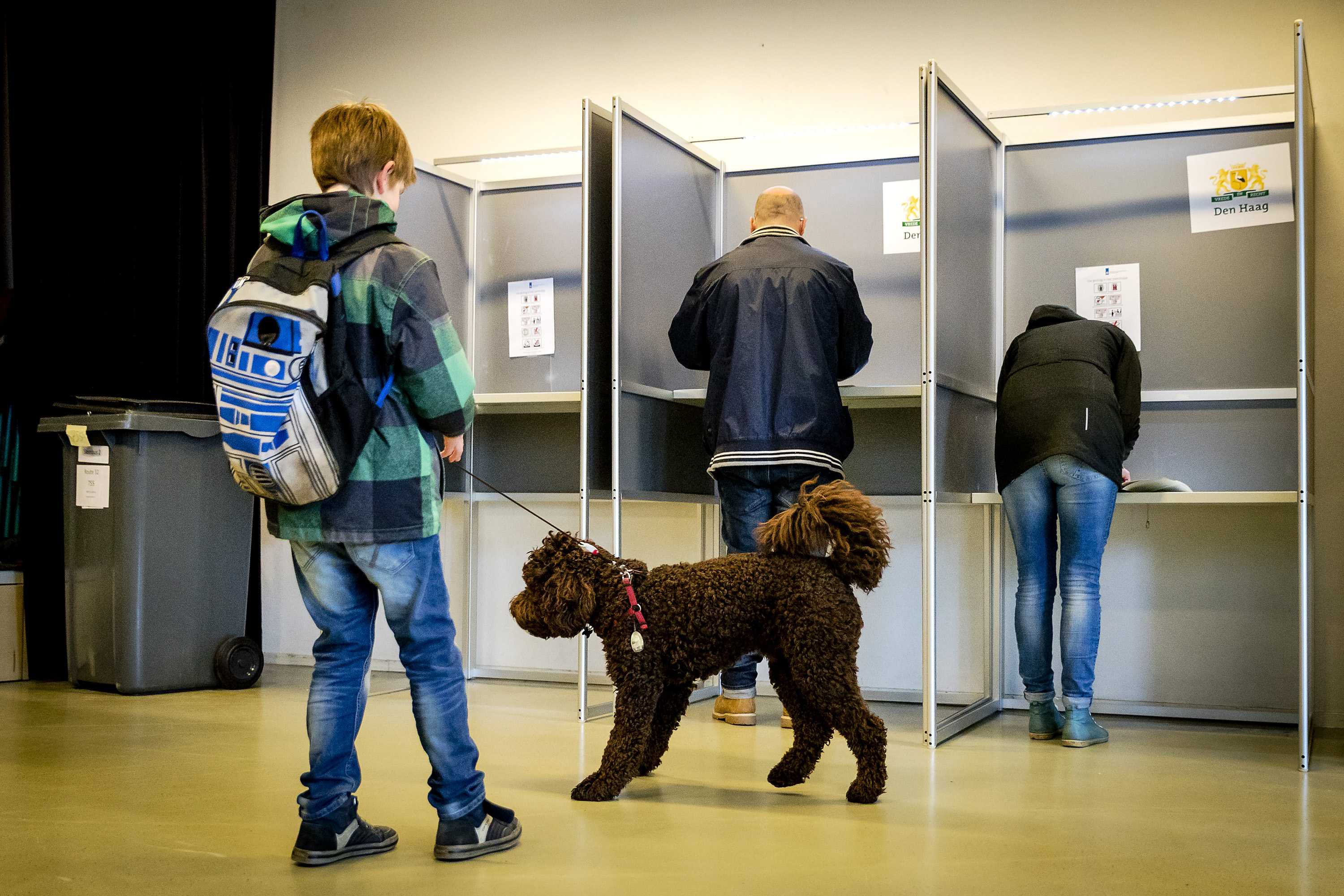 Гласуването в парламентарните избори в Холандия започна. Очаква се първите предварителни резултати да станат известни малко след полунощ на 16 март, а с тях вероятно и съдбата на Европейския съюз.