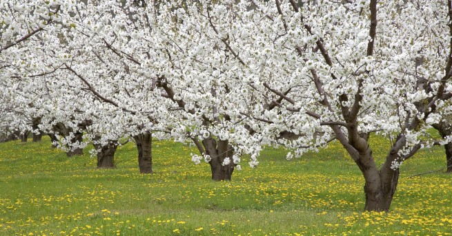 Най ниските температури през април у нас ще са между