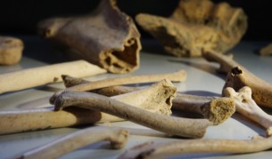 Намериха човешки останки край къмпинг „Юг“