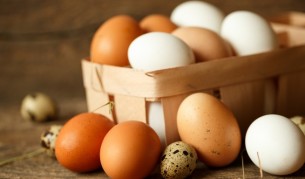 Френски артист ще мъти яйца до излюпването на пиленца