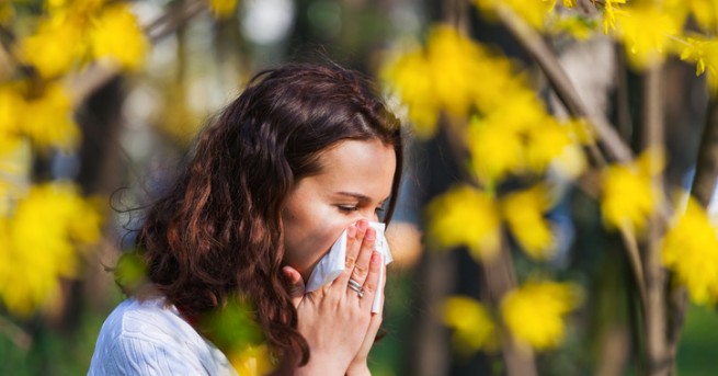 Пролетта е любим сезон за мнозина, но алергичните познават добре