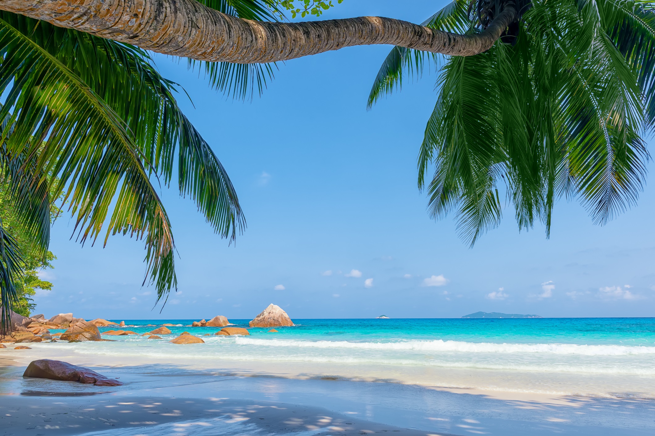 Ансе Лацио (Сейшелски острови) – разположен е на остров Параслин, част от невероятните Сейшелски острови. Кристалните му води са много подходящи за плуване и гмуркане.
