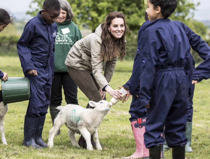 Херцогиня Катрин и група деца от лондонско училище посетиха една от т. нар. „Ферми за градски деца“ в Арлингам, Глостършир. Там херцогинята на Кеймбридж и учениците се запознаха с работата на фермерите. Кейт получи и възможността да нахрани Миризливко – едно от агънцата във фермата.