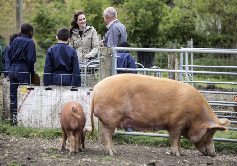 Кейт Мидълтън нахрани агънце - снимка 7