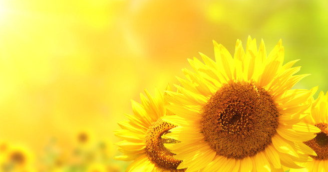 На 17 юли християнската църква почита паметта на св Марина