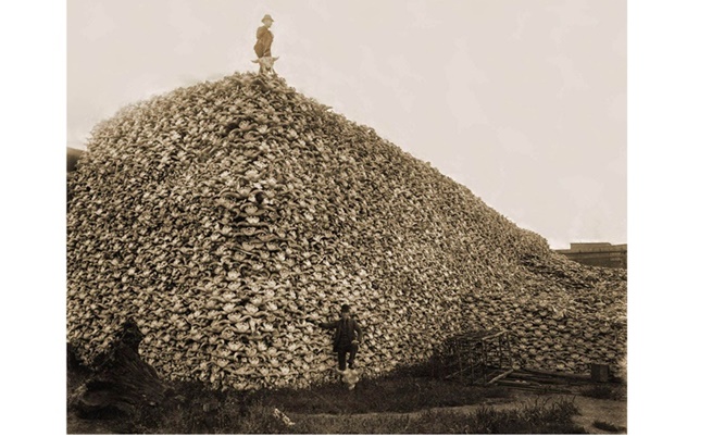  Колко черепа има на фотографията? Не може да се отговори с акуратност на този въпрос, тъй като няма такава информация към фотографията, само че посредством груби сметки съгласно размерите на купчината, най-вероятно броят им е над 180 000. 