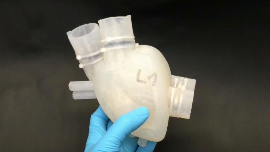 Учени създадоха изкуствено сърце чрез 3D принтер