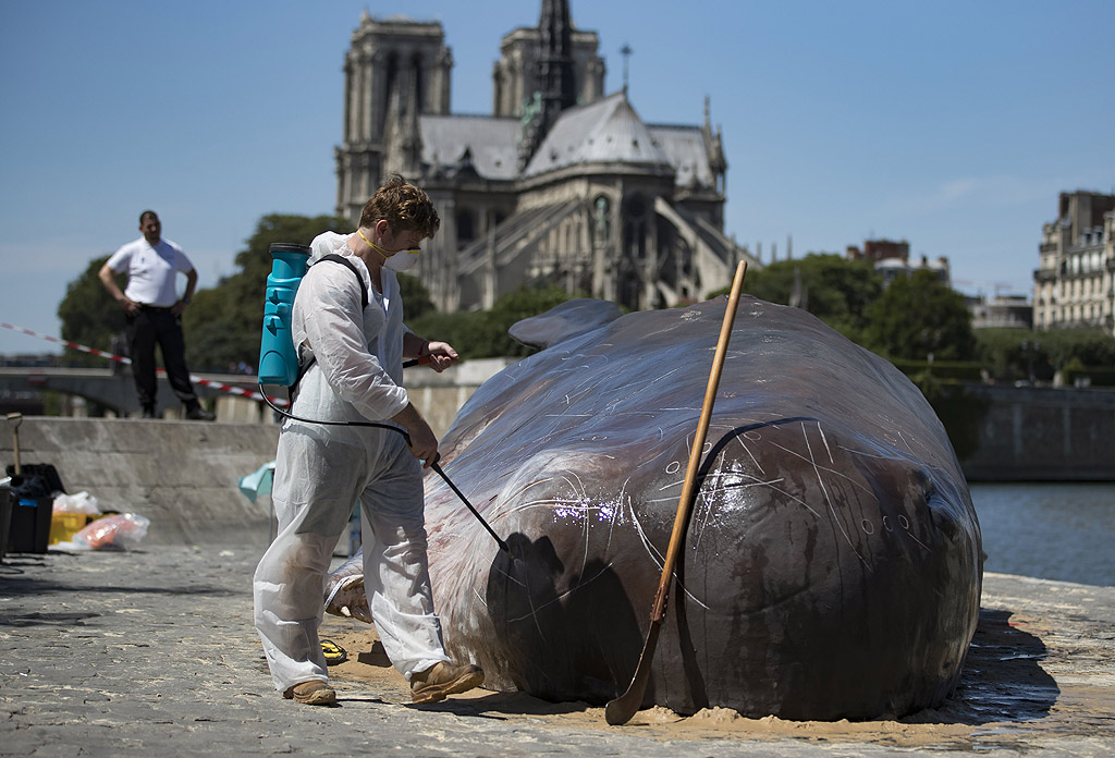 Членове на белгийската художествена колегия "Капитан Бумеър" работят по инсталацията "Кит на брега", на алея за разходка по поречието на река Сена в Париж, Франция