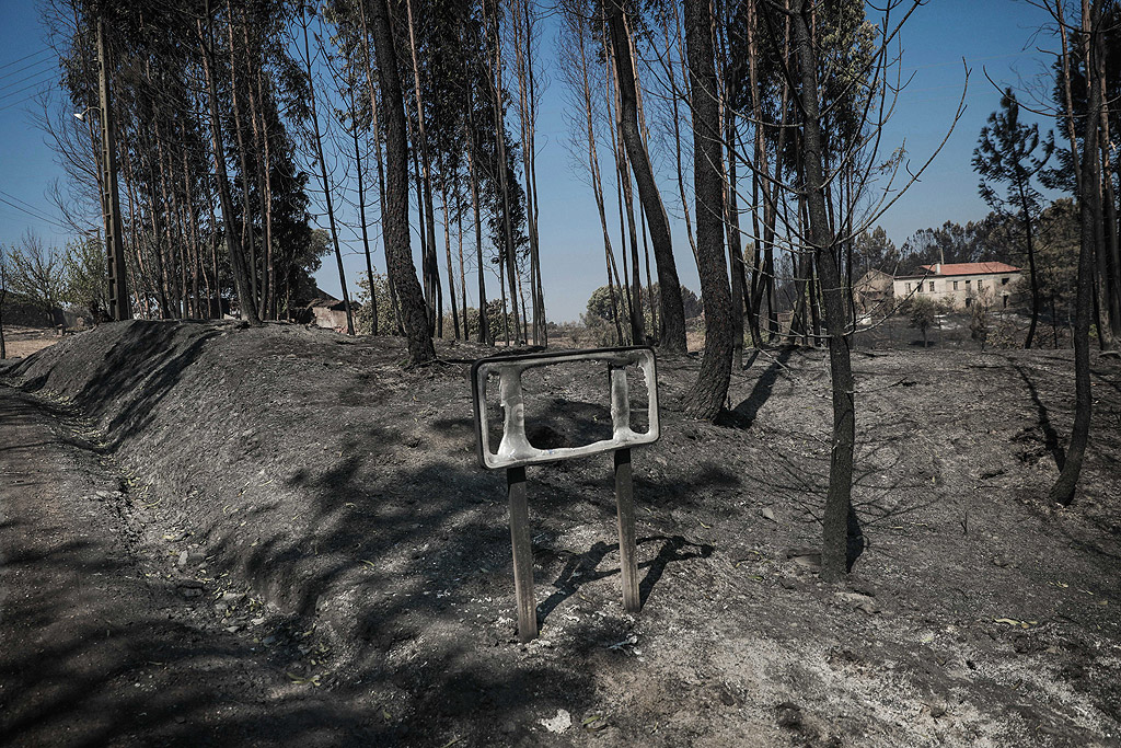 Изгорелите сгради и околностите на село Деголадо. Пожари обхванаха горски масиви в близост до град Масао, Централна Португалия. 1 126 пожарникари, 358 сухопътни превозни средства и 10 самолета и хеликоптера, работят за потушаване на пожарите.