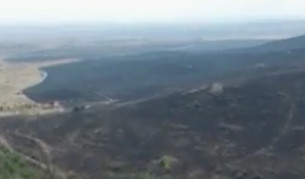 Огромни щети от пожарите в Бургаско и Пловдивско