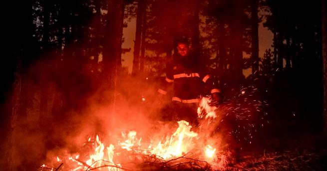 Пожарът край Кресна който предизвика истинска екологична катастрофа отново се